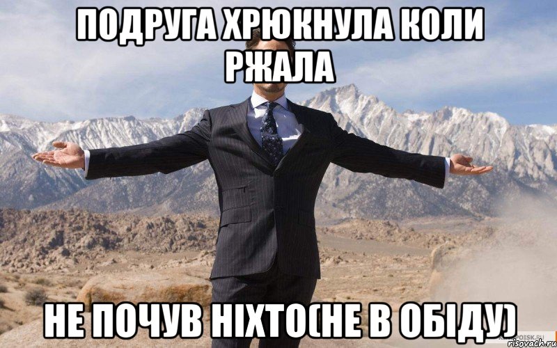 Подруга хрюкнула коли ржала не почув ніхто(не в обіду), Мем железный человек