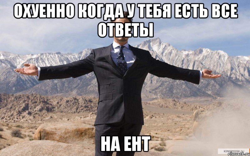 Охуенно когда у тебя есть все ответы На ент, Мем железный человек