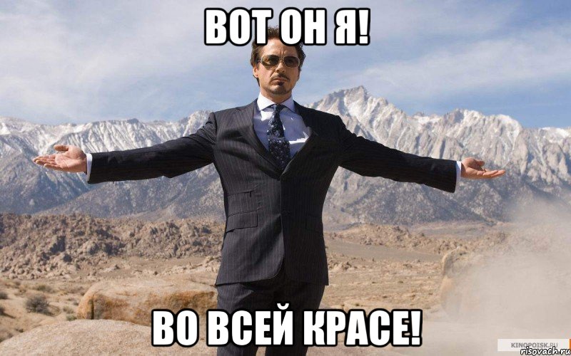 Вот он я! Во всей красе!, Мем железный человек