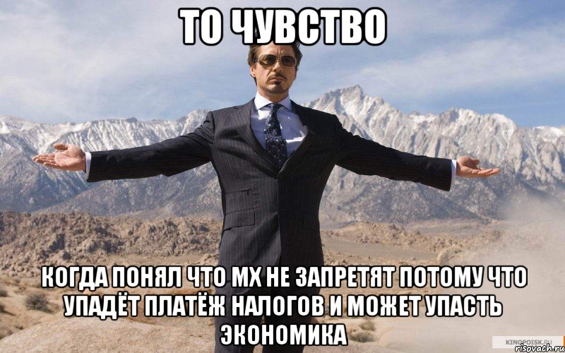 То чувство когда понял что мх не запретят потому что упадёт платёж налогов и может упасть экономика, Мем железный человек