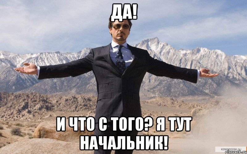 ДА! и что с того? Я тут начальник!, Мем железный человек