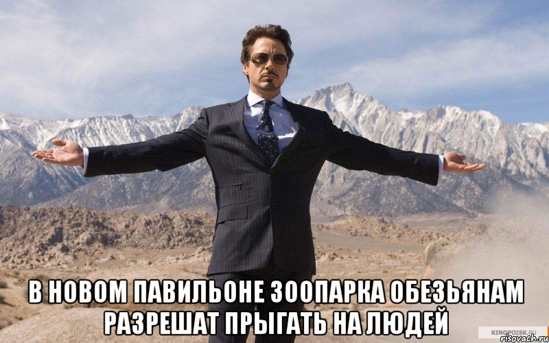  В новом павильоне зоопарка обезьянам разрешат прыгать на людей, Мем железный человек