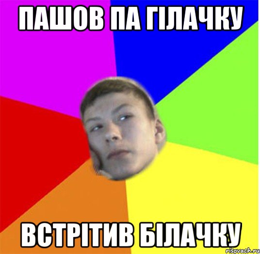 ПАШОВ ПА ГІЛАЧКУ ВСТРІТИВ БІЛАЧКУ