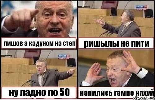 пишов з кадуном на степ ришылы не пити ну ладно по 50 напились гамно нахуй, Комикс жиреновский