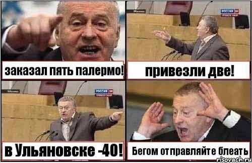 заказал пять палермо! привезли две! в Ульяновске -40! Бегом отправляйте блеать, Комикс жиреновский