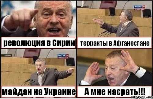 революция в Сирии терракты в Афганестане майдан на Украине А мне насрать!!!, Комикс жиреновский