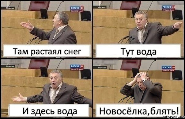 Там растаял снег Тут вода И здесь вода Новосёлка,блять!, Комикс Жирик в шоке хватается за голову