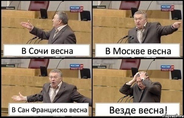 В Сочи весна В Москве весна В Сан Франциско весна Везде весна!, Комикс Жирик в шоке хватается за голову