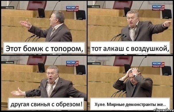 Этот бомж с топором, тот алкаш с воздушкой, другая свинья с обрезом! Хуле. Мирные демонстранты же..., Комикс Жирик в шоке хватается за голову