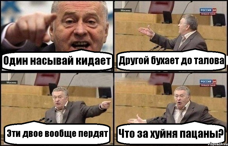 Один насывай кидает Другой бухает до талова Эти двое вообще пердят Что за хуйня пацаны?, Комикс Жириновский