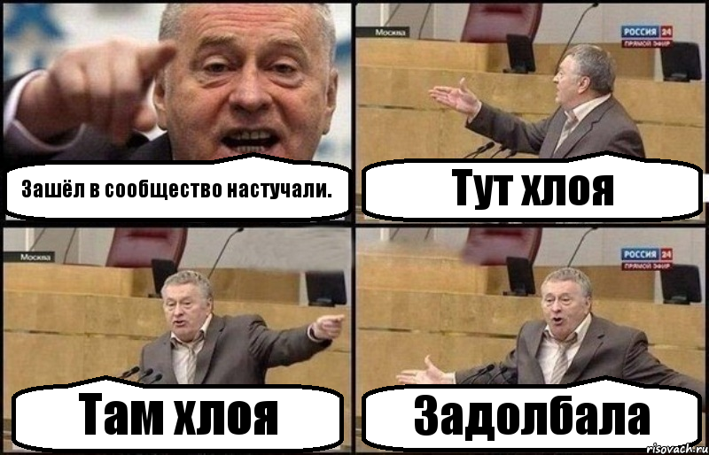 Зашёл в сообщество настучали. Тут хлоя Там хлоя Задолбала, Комикс Жириновский