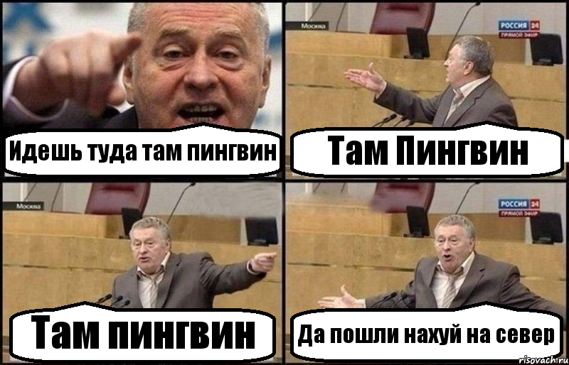 Идешь туда там пингвин Там Пингвин Там пингвин Да пошли нахуй на север, Комикс Жириновский