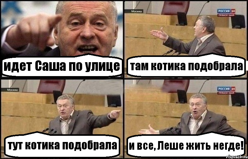 идет Саша по улице там котика подобрала тут котика подобрала и все, Леше жить негде!