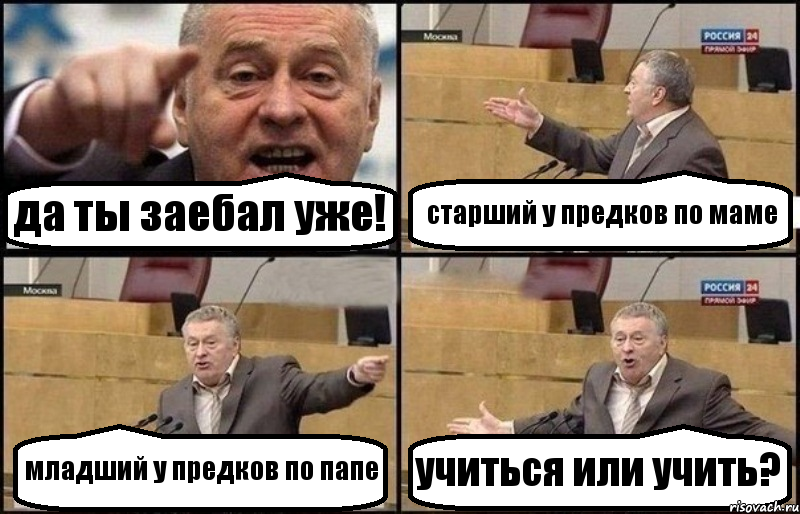 да ты заебал уже! старший у предков по маме младший у предков по папе учиться или учить?, Комикс Жириновский