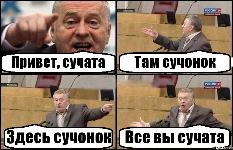 Привет, сучата Там сучонок Здесь сучонок Все вы сучата, Комикс Жириновский