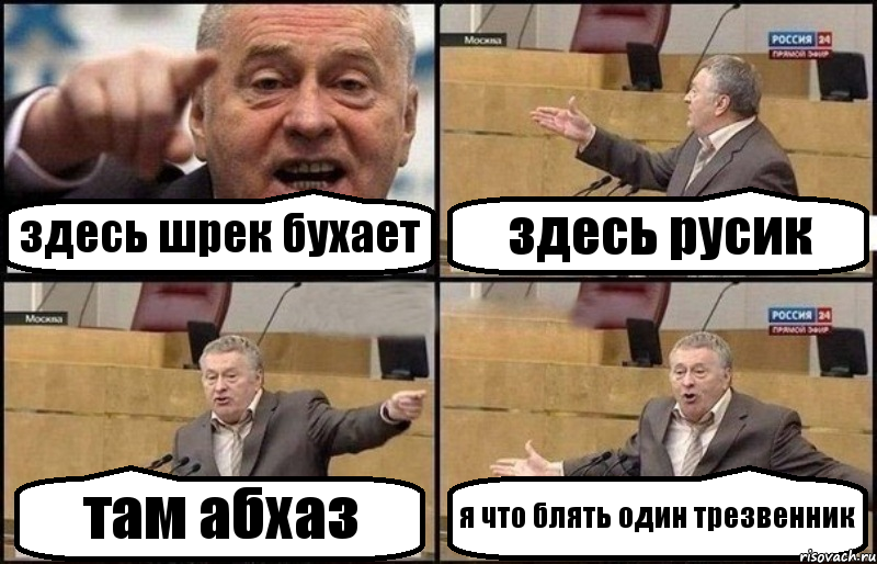 здесь шрек бухает здесь русик там абхаз я что блять один трезвенник, Комикс Жириновский