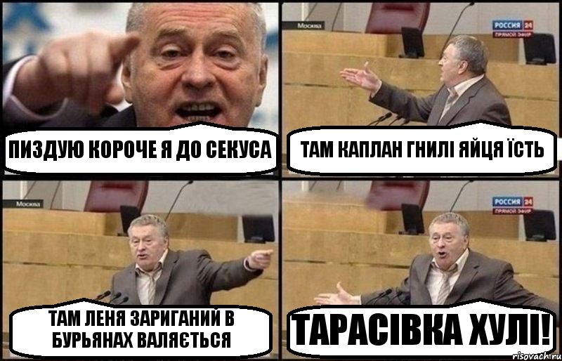 ПИЗДУЮ КОРОЧЕ Я ДО СЕКУСА ТАМ КАПЛАН ГНИЛІ ЯЙЦЯ ЇСТЬ ТАМ ЛЕНЯ ЗАРИГАНИЙ В БУРЬЯНАХ ВАЛЯЄТЬСЯ ТАРАСІВКА ХУЛІ!, Комикс Жириновский