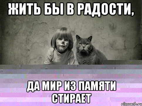 ЖИТЬ БЫ В РАДОСТИ, ДА МИР ИЗ ПАМЯТИ СТИРАЕТ
