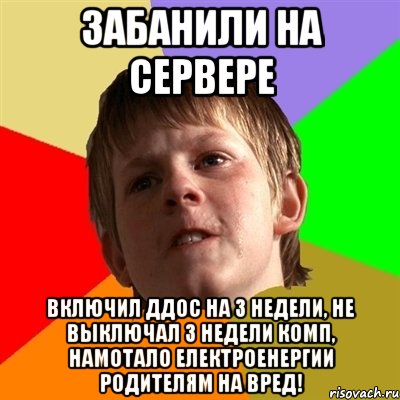 Забанили на сервере включил ДДоС на 3 недели, не выключал 3 недели комп, намотало електроенергии родителям на вред!, Мем Злой школьник