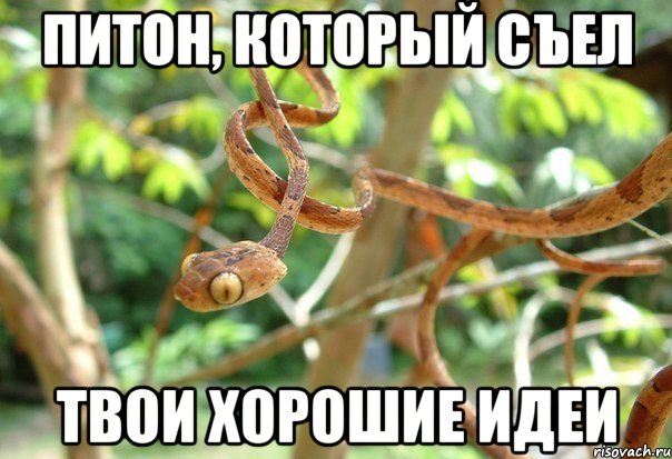 ПИТОН, КОТОРЫЙ СЪЕЛ ТВОИ ХОРОШИЕ ИДЕИ, Мем Змея которая съела