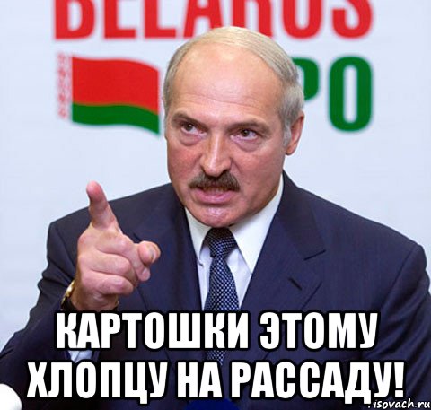  картошки этому хлопцу на рассаду!, Мем Лукашенко указывает пальцем