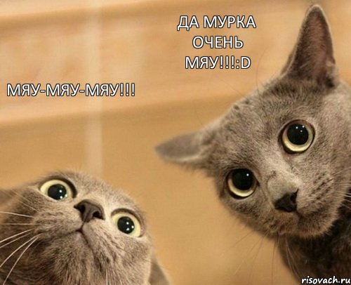 Мяу-мяу-мяу!!! Да Мурка очень мяу!!!:D, Комикс  2 кота