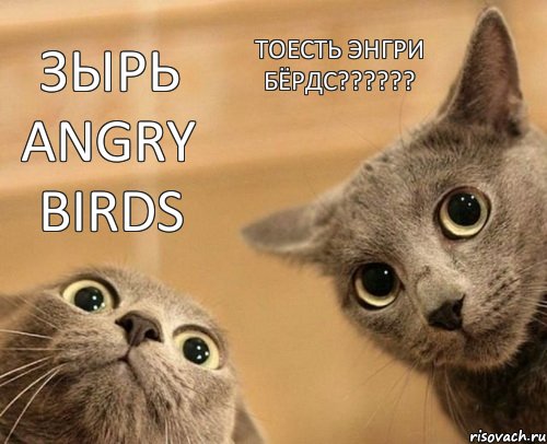 Зырь angry birds Тоесть энгри бёрдс??????, Комикс  2 кота