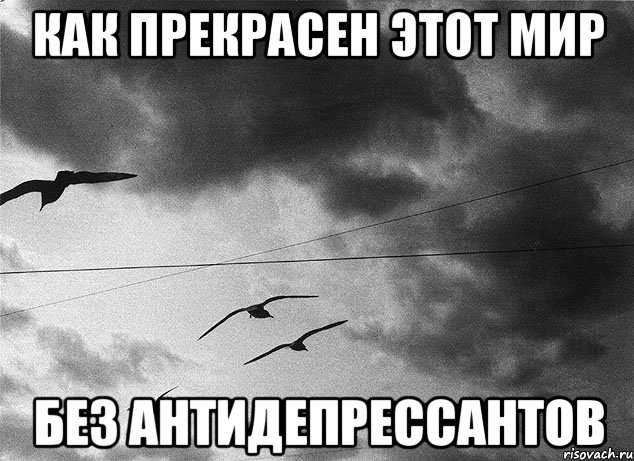 Как прекрасен этот мир Без антидепрессантов, Мем 61616161