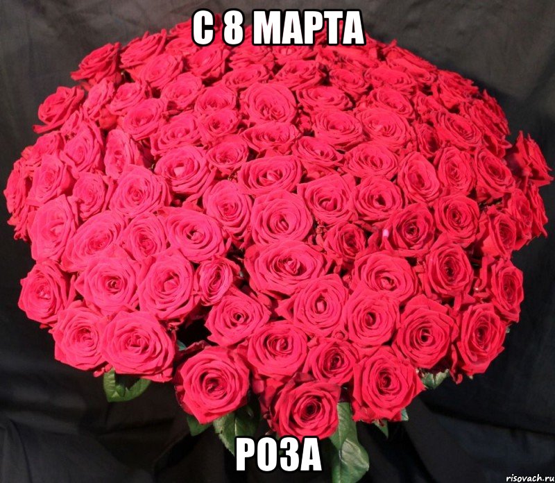 С 8 марта роза