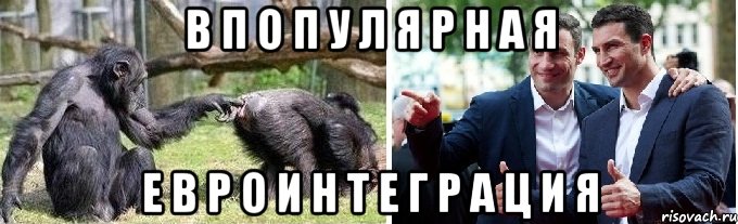В П О П У Л Я Р Н А Я е в р о и н т е г р а ц и я