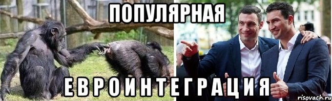ПОПУЛЯРНАЯ е в р о и н т е г р а ц и я