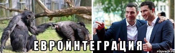  е в р о и н т е г р а ц и я