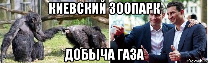 киевский зоопарк добыча газа