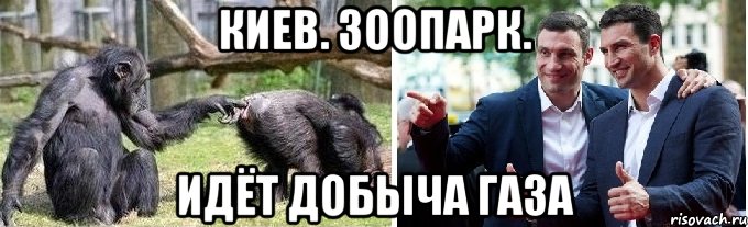 киев. зоопарк. идёт добыча газа
