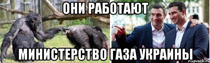 они работают министерство газа украины