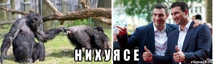  н и х у я с е