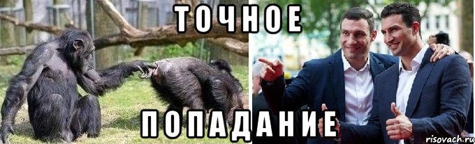 т о ч н о е п о п а д а н и е