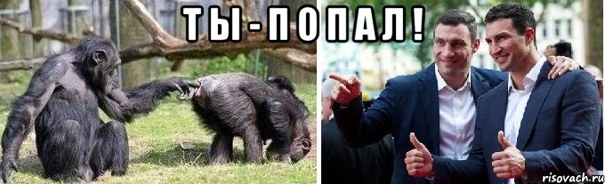 т ы - п о п а л ! 