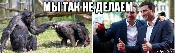 мы так не делаем 