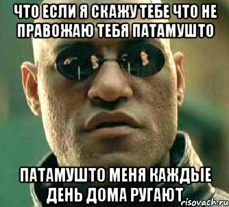 Что если я скажу тебе что не правожаю тебя патамушто Патамушто меня каждые день дома ругают, Мем  а что если я скажу тебе