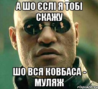 А ШО ЄСЛІ Я ТОБІ СКАЖУ ШО ВСЯ КОВБАСА - МУЛЯЖ, Мем  а что если я скажу тебе