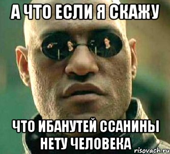 А что если я скажу Что ибанутей ссанины нету человека, Мем  а что если я скажу тебе