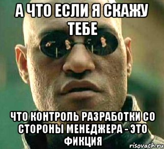 а что если я скажу тебе что контроль разработки со стороны менеджера - это фикция, Мем  а что если я скажу тебе