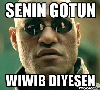 Senin gotun Wiwib diyesen, Мем  а что если я скажу тебе