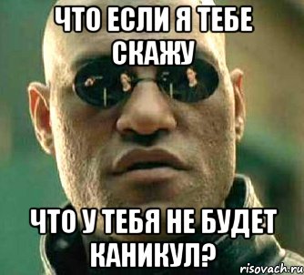 Что если я тебе скажу Что у тебя не будет каникул?, Мем  а что если я скажу тебе