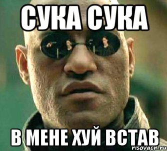 сука сука в мене хуй встав, Мем  а что если я скажу тебе