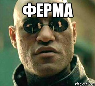 ферма , Мем  а что если я скажу тебе