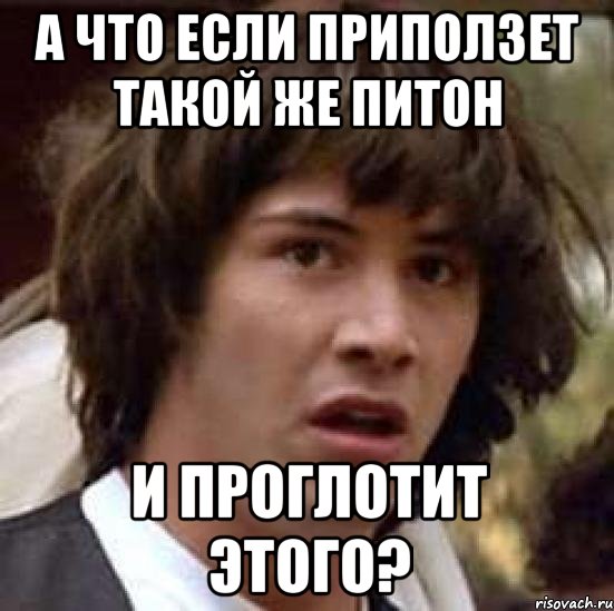 а что если приползет такой же питон и проглотит этого?, Мем А что если (Киану Ривз)