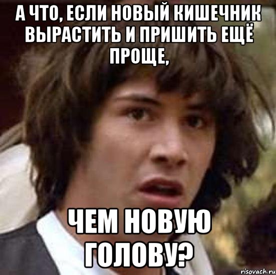 А что, если новый кишечник вырастить и пришить ещё проще, чем новую голову?, Мем А что если (Киану Ривз)