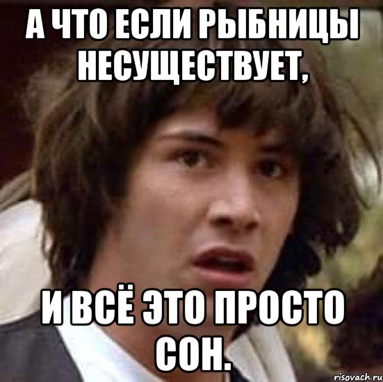 А что если Рыбницы несуществует, И всё это просто сон., Мем А что если (Киану Ривз)